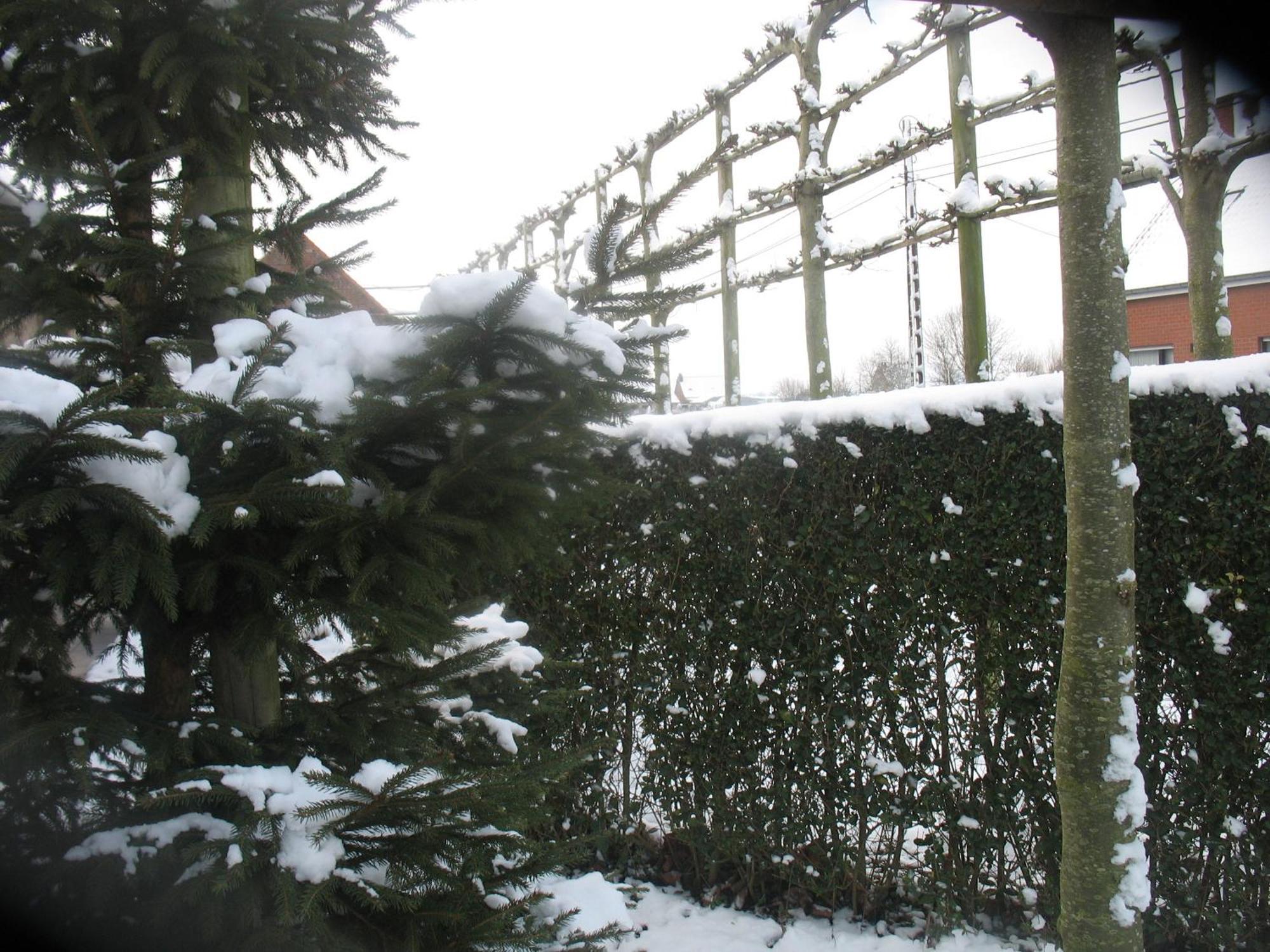 Langemark B&B Greenhouse 37 מראה חיצוני תמונה