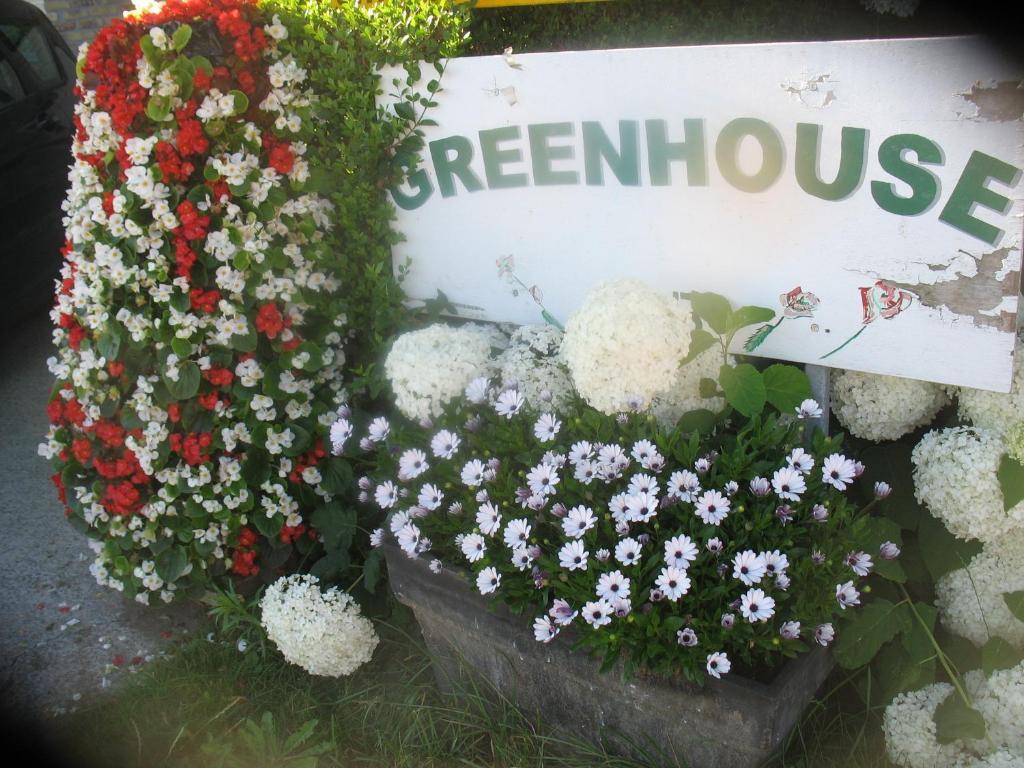 Langemark B&B Greenhouse 37 מראה חיצוני תמונה
